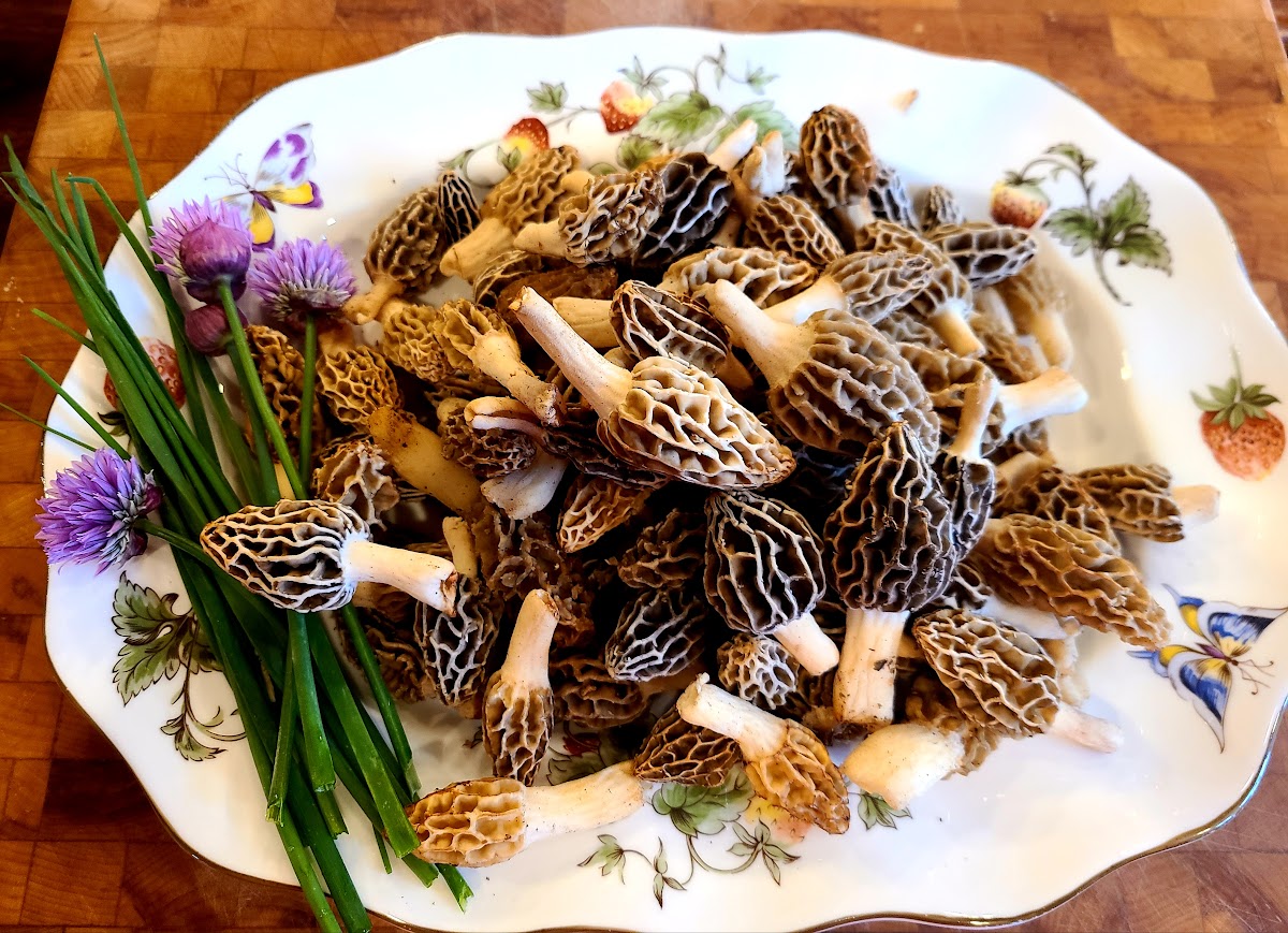 What you do speaks so loudly that I cannot hear what you say